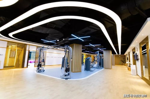 告別價格戰，旅游市場迎來產品力與服務體驗的競爭新階段